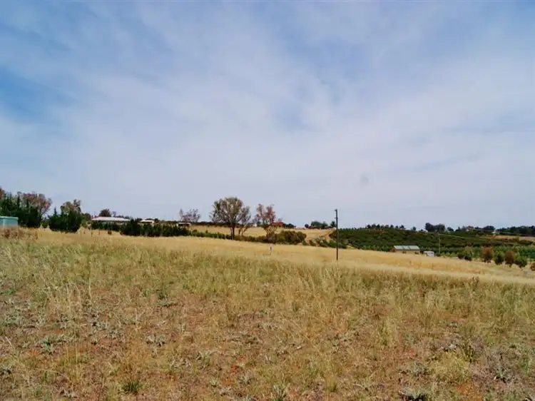 Fifth view of Homely land listing, 30 Jasprizza Lane, Young NSW 2594