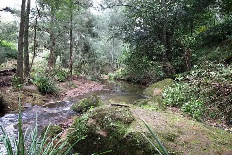 Fourth view of Homely rural property listing, 436 Cedar Creek Road, Cedar Creek NSW 2325
