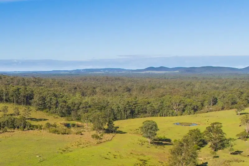 Main view of Homely rural property listing, 324 Ebsworth Fire Trail Road, Clarence Town NSW 2321