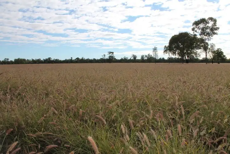 Main view of Homely rural property listing, Lot 11 Ingaby Road, St George QLD 4487