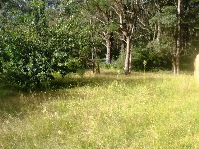 Main view of Homely land listing, 341 Great Western Highway, Blackheath NSW 2785