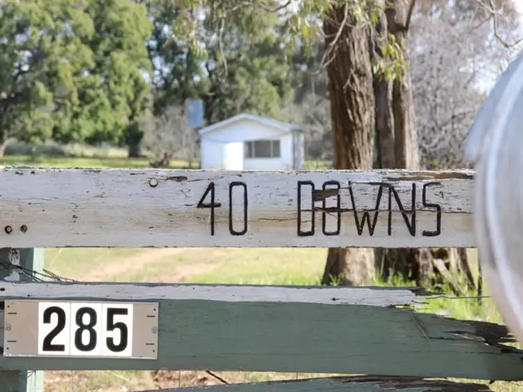 Fourth view of Homely rural property listing, 285 TOTHILLS Road, Coonabarabran NSW 2357