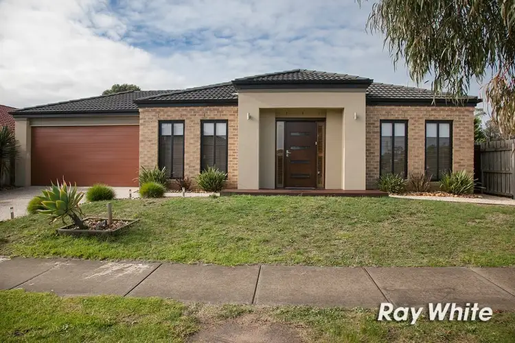 Main view of Homely house listing, 16 Powerscout Retreat, Cranbourne VIC 3977