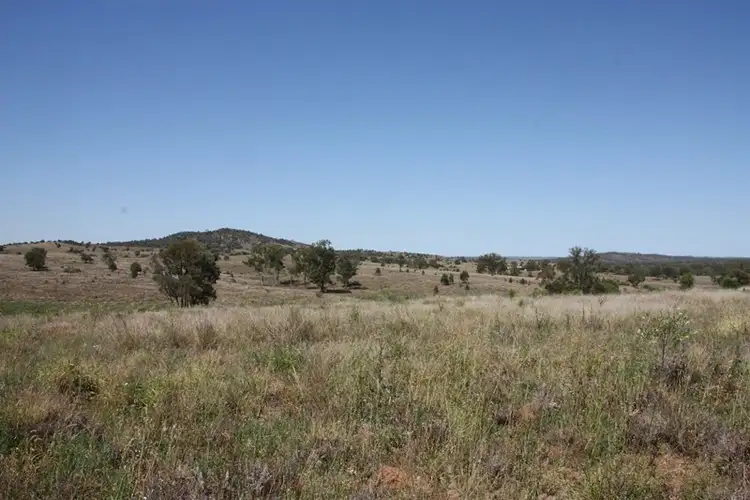 Seventh view of Homely rural property listing, 775 Drumburle Road, Thangool QLD 4716