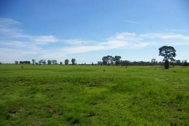 Seventh view of Homely rural property listing, 0 Texas-Yelarbon Road, Beebo QLD 4385