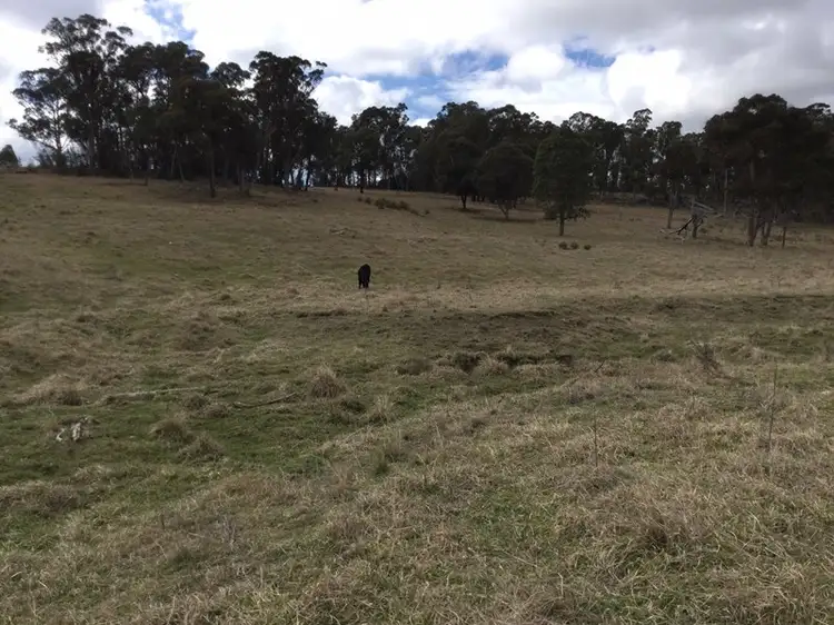 Lot 551 Blue Hills Road, Glen Innes NSW 2370