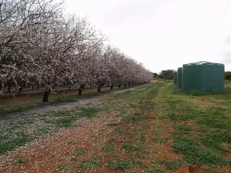 Main view of Homely rural property listing, 21109 Kingston Loxton Road, Loxton SA 5333