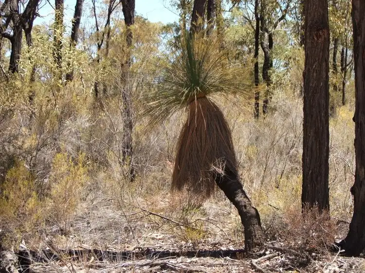 Third view of Homely rural property listing, Bald Hill Newell Highway, Coonabarabran NSW 2357