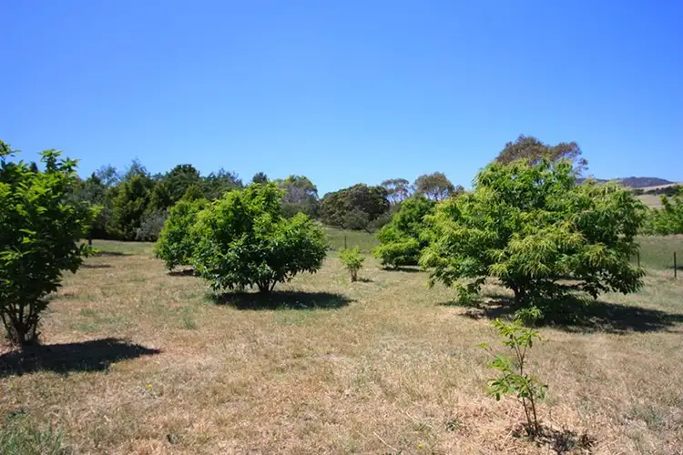 7 Duncan Avenue, Bungendore NSW 2621