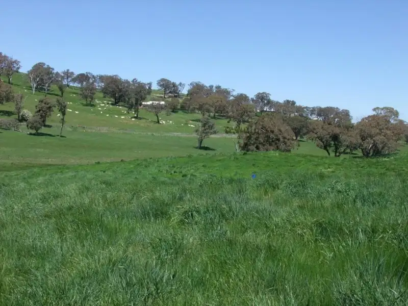 Main view of Homely rural property listing, Address available on request