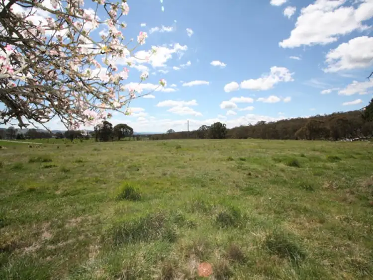 Sixth view of Homely rural property listing, 237 Neils Creek Road, Bungendore NSW 2621