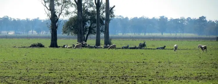 Second view of Homely rural property listing, Address available on request