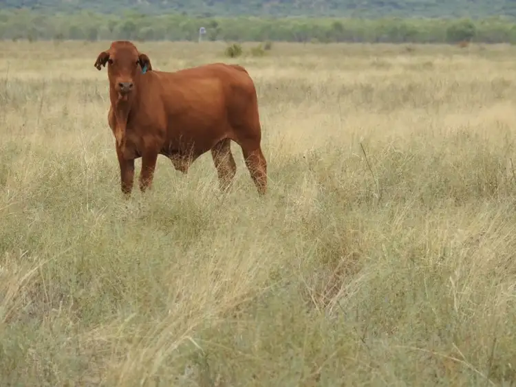 Sixth view of Homely land listing, Address available on request