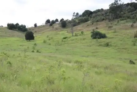 Fifth view of Homely rural property listing, Address available on request