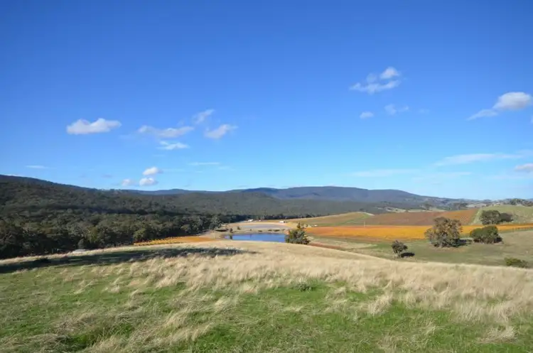 Fifth view of Homely rural property listing, CA 24 +24B Landsborough-Elmhurst Road, Landsborough VIC 3384