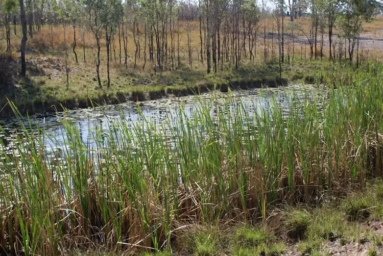 Third view of Homely rural property listing, Lot 17/2300 Fingerboard Road, Mount Tom QLD 4677