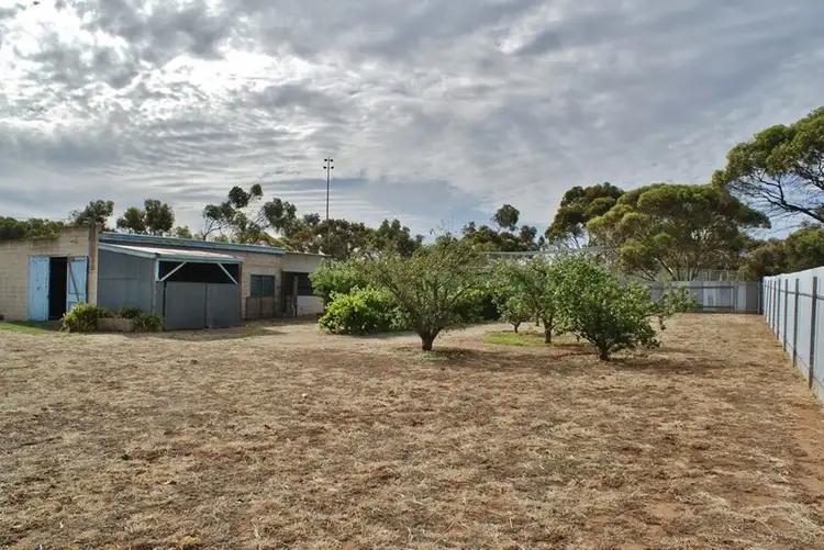 Seventh view of Homely house listing, 17 Hawke Road, Murray Bridge SA 5253