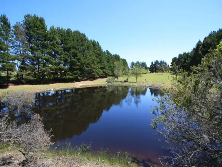 Sixth view of Homely rural property listing, 78 Taylors Creek Road, Bungendore NSW 2621