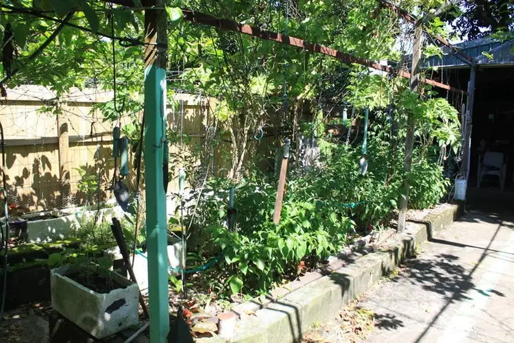 Fifth view of Homely house listing, 23 Cedars Street, Mossman QLD 4873
