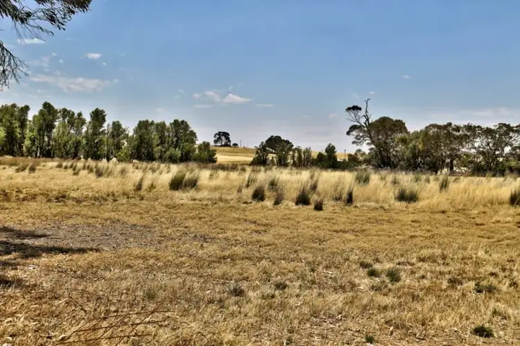 Fifth view of Homely rural property listing, "Tarnma Block" Curio Highway, Hampden SA 5374