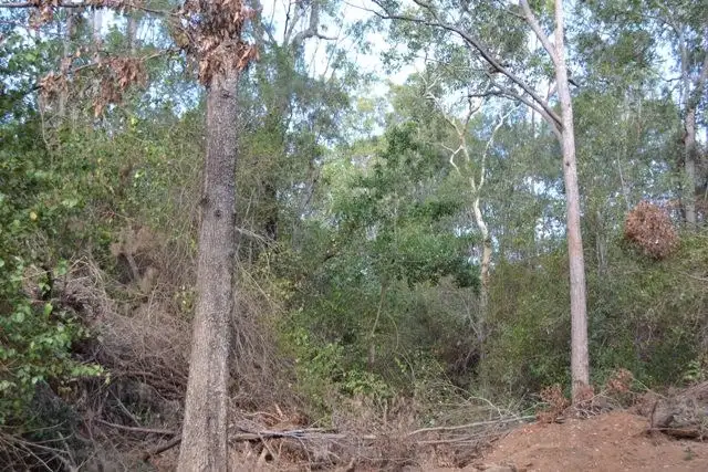 Sixth view of Homely land listing, Lot 31 Tanby Post Office Road, Bondoola QLD 4703