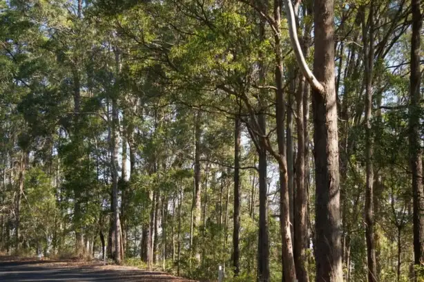 Fifth view of Homely land listing, 22 Upper Rosemount Road (Corner of Rosemount Lane), Rosemount QLD 4560