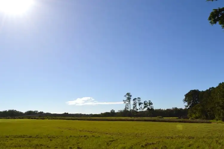 Fourth view of Homely house listing, 1120 Steve Irwin Way, Glass House Mountains QLD 4518