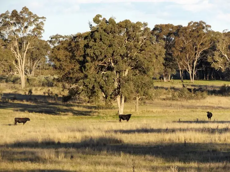Fifth view of Homely rural property listing, 0 Strathbogie Road, Glen Innes NSW 2370