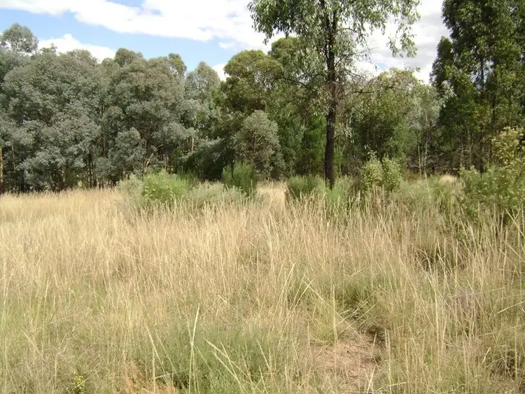 Third view of Homely rural property listing, Lot 8 White Horse Road, Cowra NSW 2794