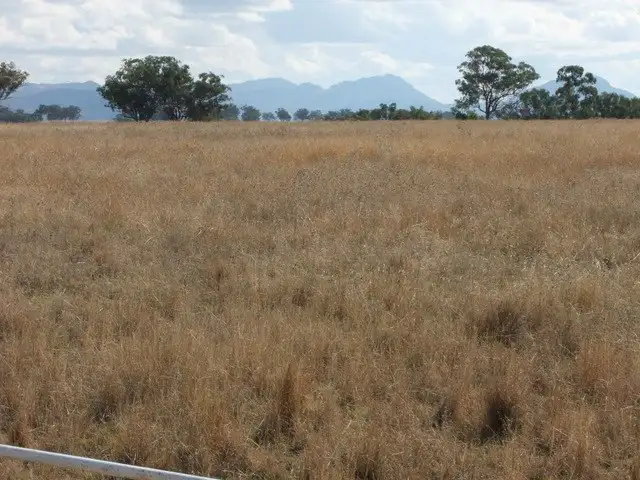 Main view of Homely rural property listing, ' BERNANDAWN', Coonabarabran NSW 2357