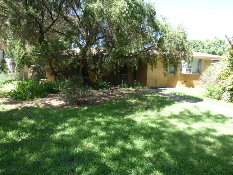 Main view of Homely house listing, 20 Philip Street, St George QLD 4487