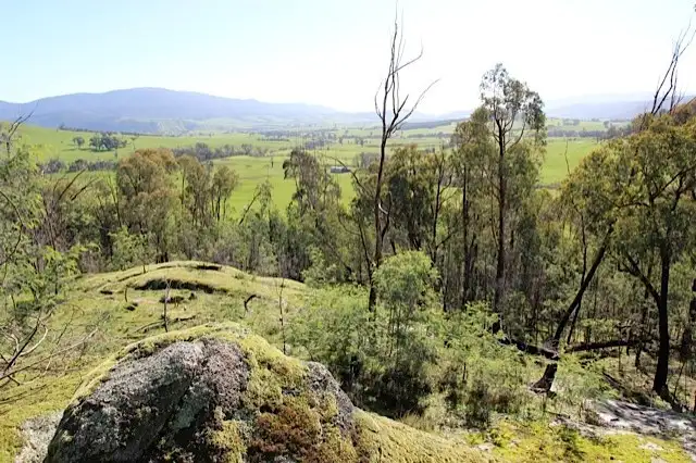 Main view of Homely rural property listing, CA 11 Switchback Road, Mudgegonga VIC 3737