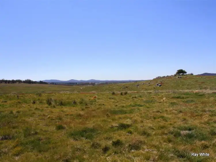 Second view of Homely rural property listing, 318 Larbert Road, Braidwood NSW 2622