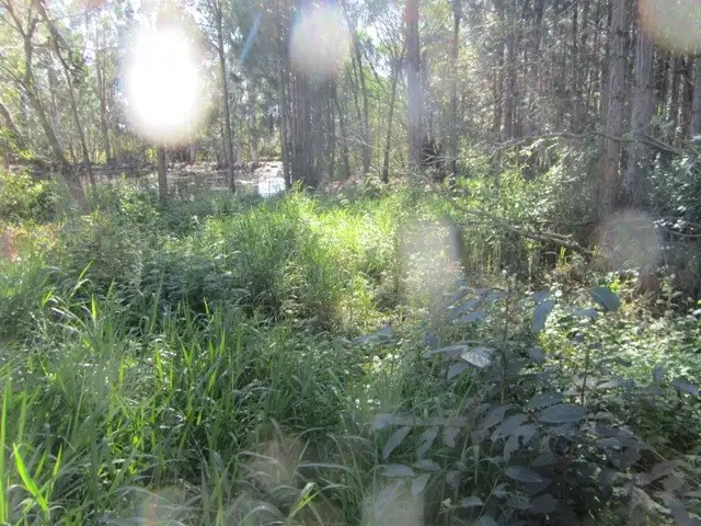 Fifth view of Homely land listing, Address available on request