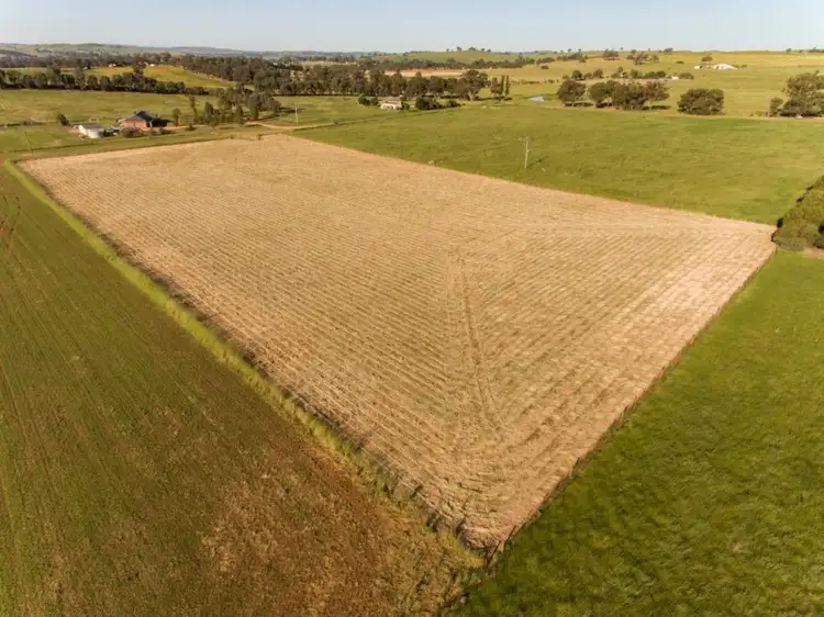 Sixth view of Homely rural property listing, 261 Camp Road, Cowra NSW 2794