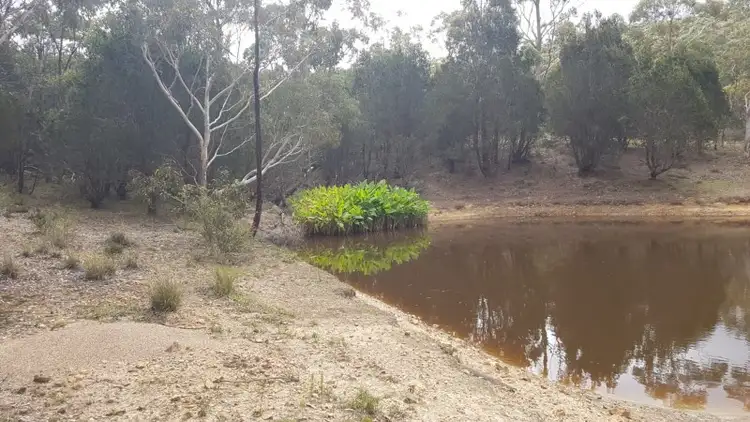 Fifth view of Homely rural property listing, 1602 Mountain Ash Road, Goulburn NSW 2580
