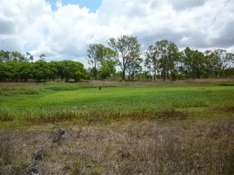 Third view of Homely rural property listing, 196 Edmistone Road, Pink Lily QLD 4702