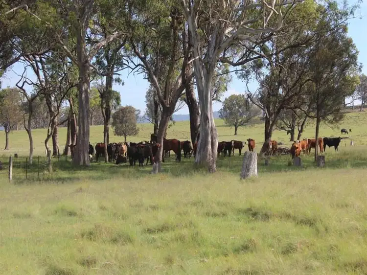 Fourth view of Homely rural property listing, Lot 622 Sunnyside Loop Road, Tenterfield NSW 2372
