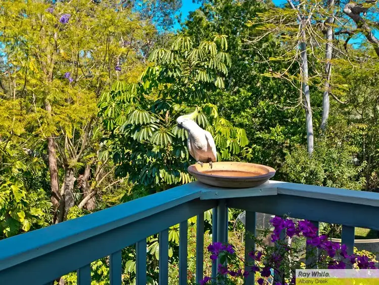 Fifth view of Homely house listing, 101 Illuta Avenue, Ferny Hills QLD 4055