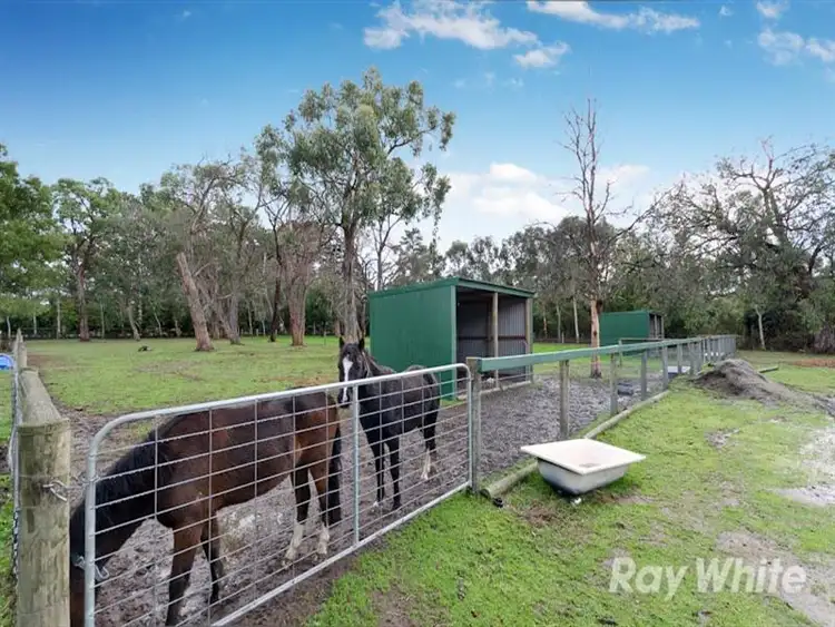 Fourth view of Homely rural property listing, 31 Boes Road, Tyabb VIC 3913