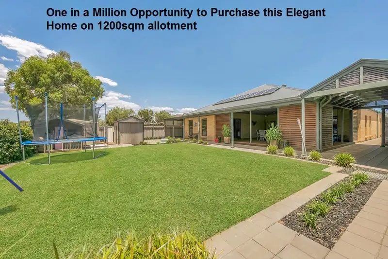 Main view of Homely house listing, 24 William Street, Two Wells SA 5501