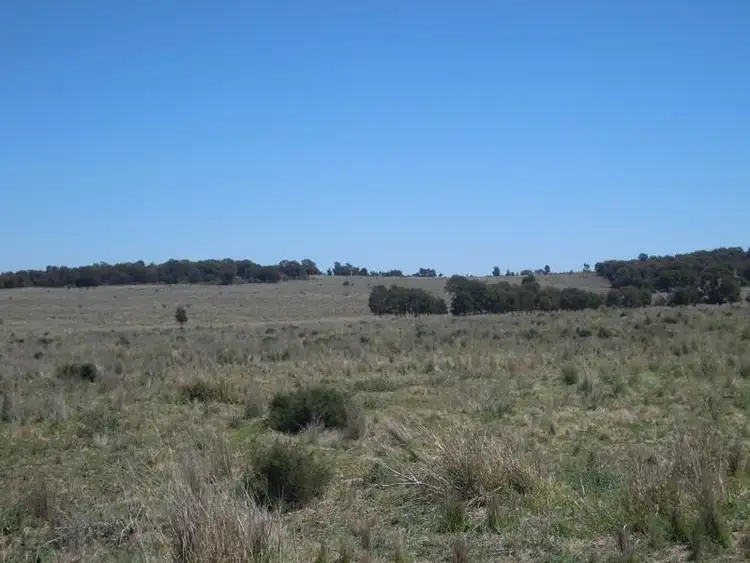 Seventh view of Homely rural property listing, 0 Millmerran-Inglewood Road, Millmerran QLD 4357