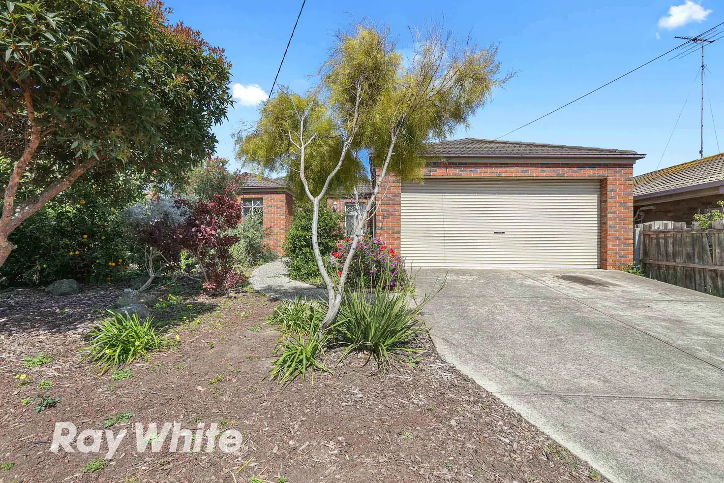 Main view of Homely house listing, 6 Kalimna Court, Clifton Springs VIC 3222
