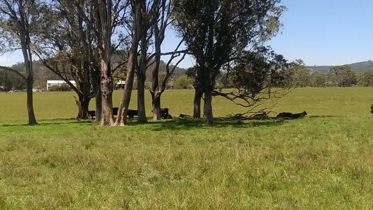 Sixth view of Homely rural property listing, Lot 21, 1397 Dungog Road, Dungog NSW 2420