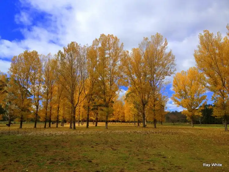 Fourth view of Homely rural property listing, 1866 Cooma Road, Braidwood NSW 2622