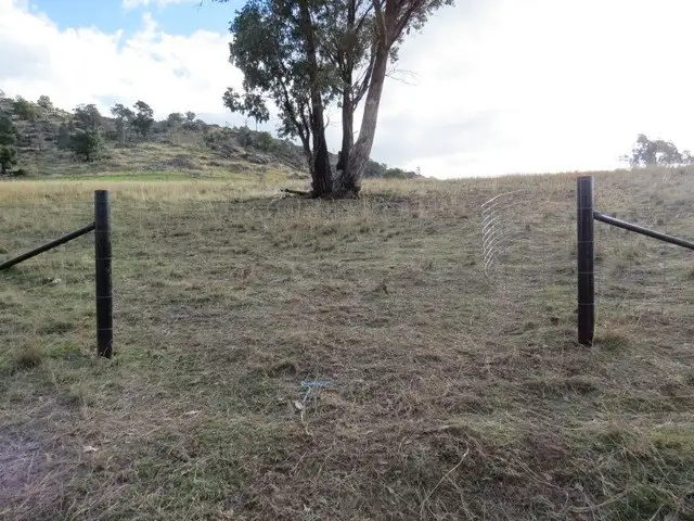 Third view of Homely rural property listing, Lot 141 Tarrants Gap Road, Wyangala NSW 2808