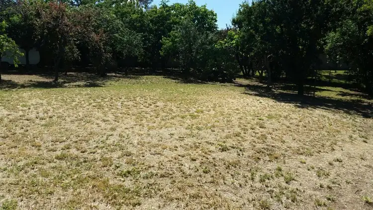 Second view of Homely house listing, 24 Mulloon Street, Queanbeyan NSW 2620