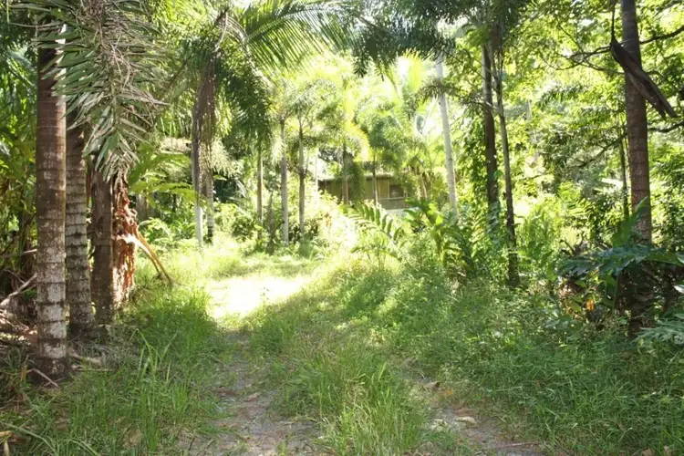 Second view of Homely rural property listing, Lot 1 Bruce Highway, Bellenden Ker QLD 4871