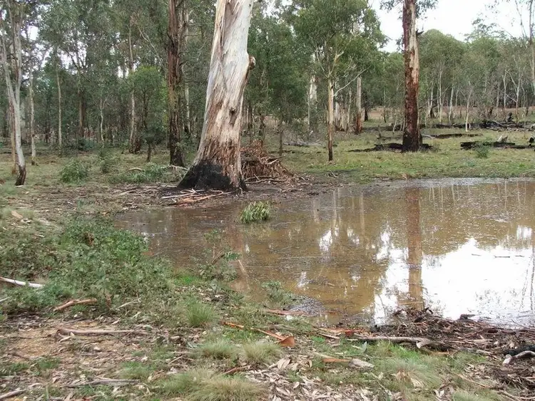 Second view of Homely rural property listing, 867 Campbells River Road, Black Springs NSW 2787