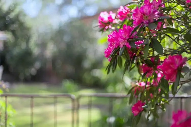 Sixth view of Homely house listing, 12 Brook Road, Seaforth NSW 2092